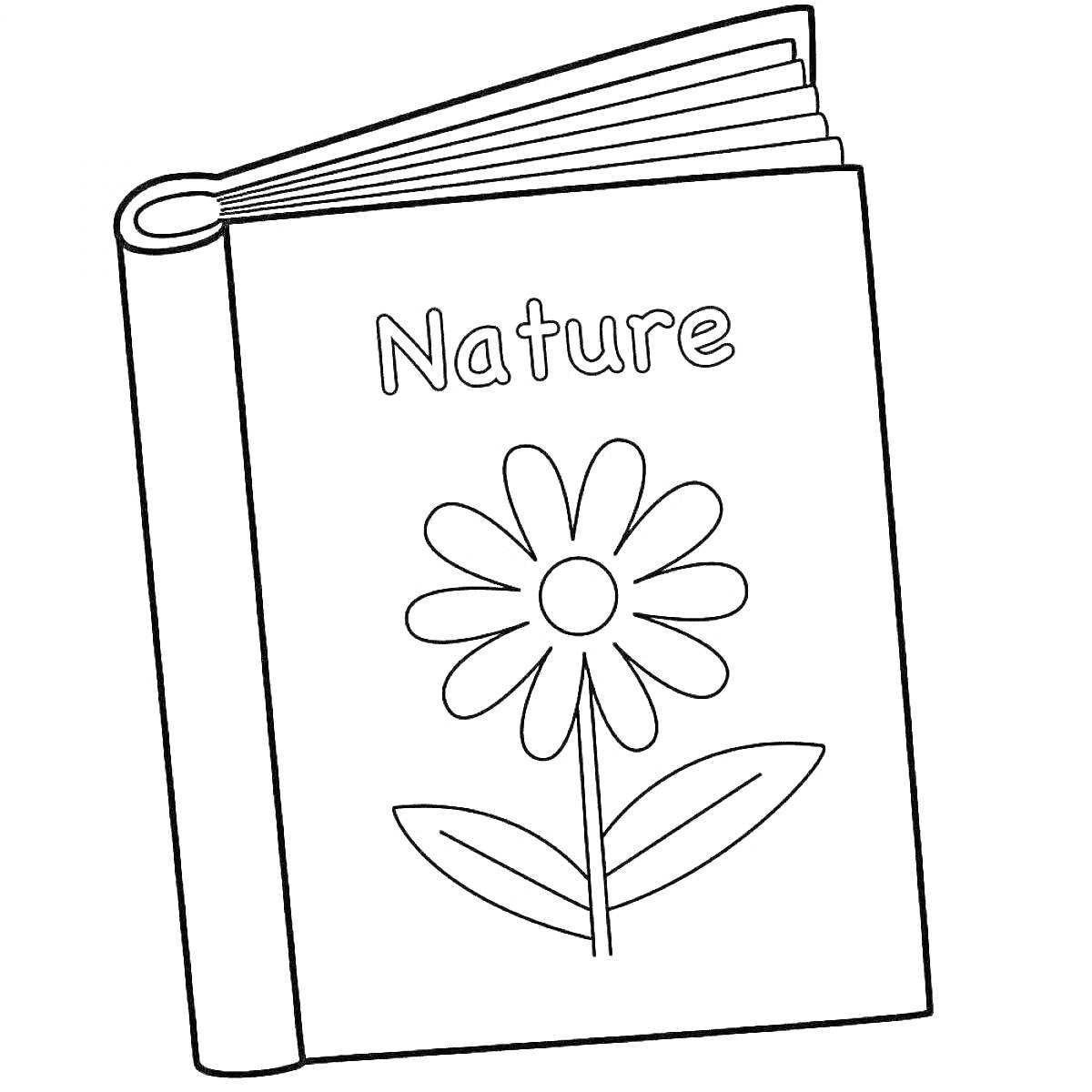 На раскраске изображено: Учебник, Природа, Книга, Ботаника, Растения, Обучение, Цветы