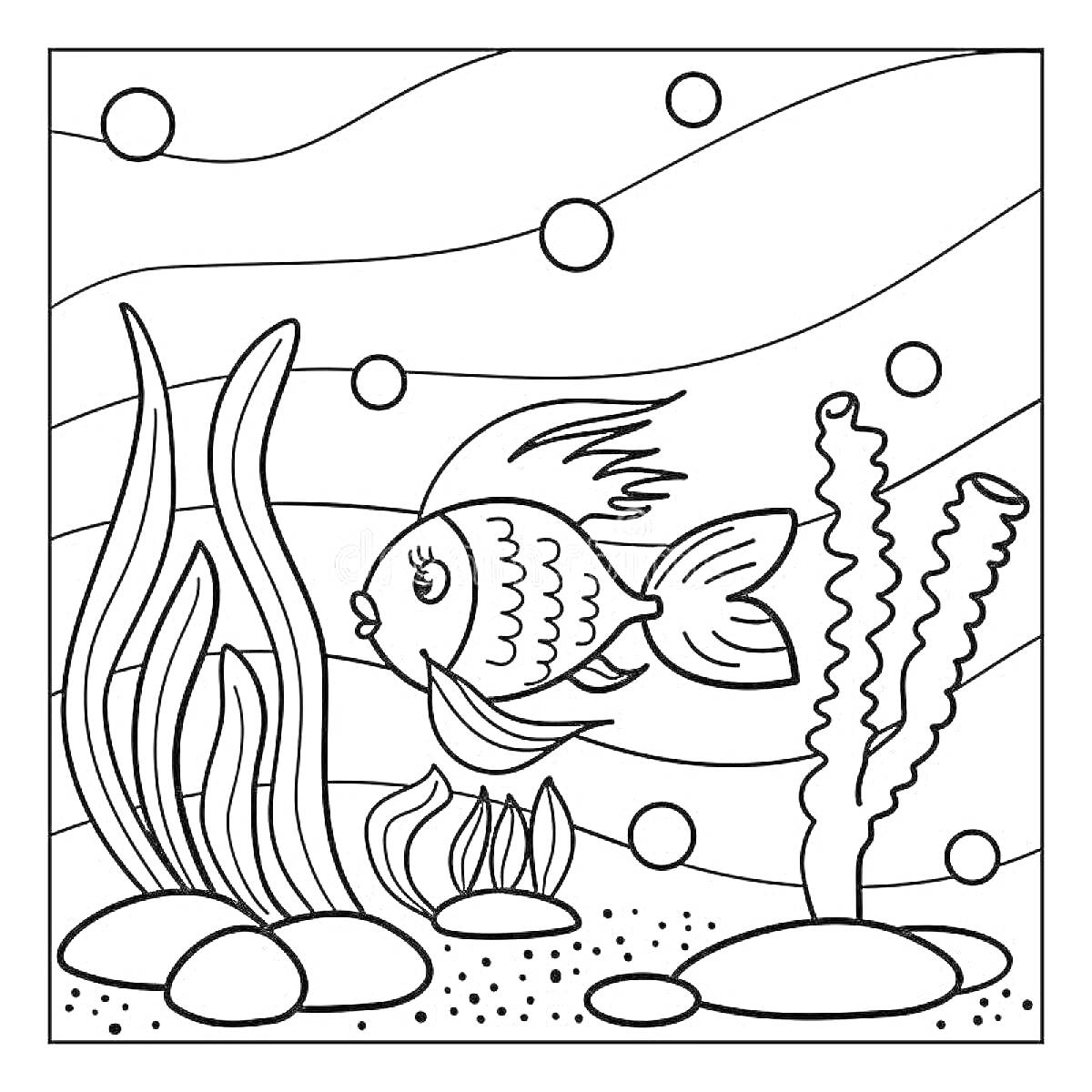 Раскраска аквариум с рыбкой, водоросли, камни, пузыри