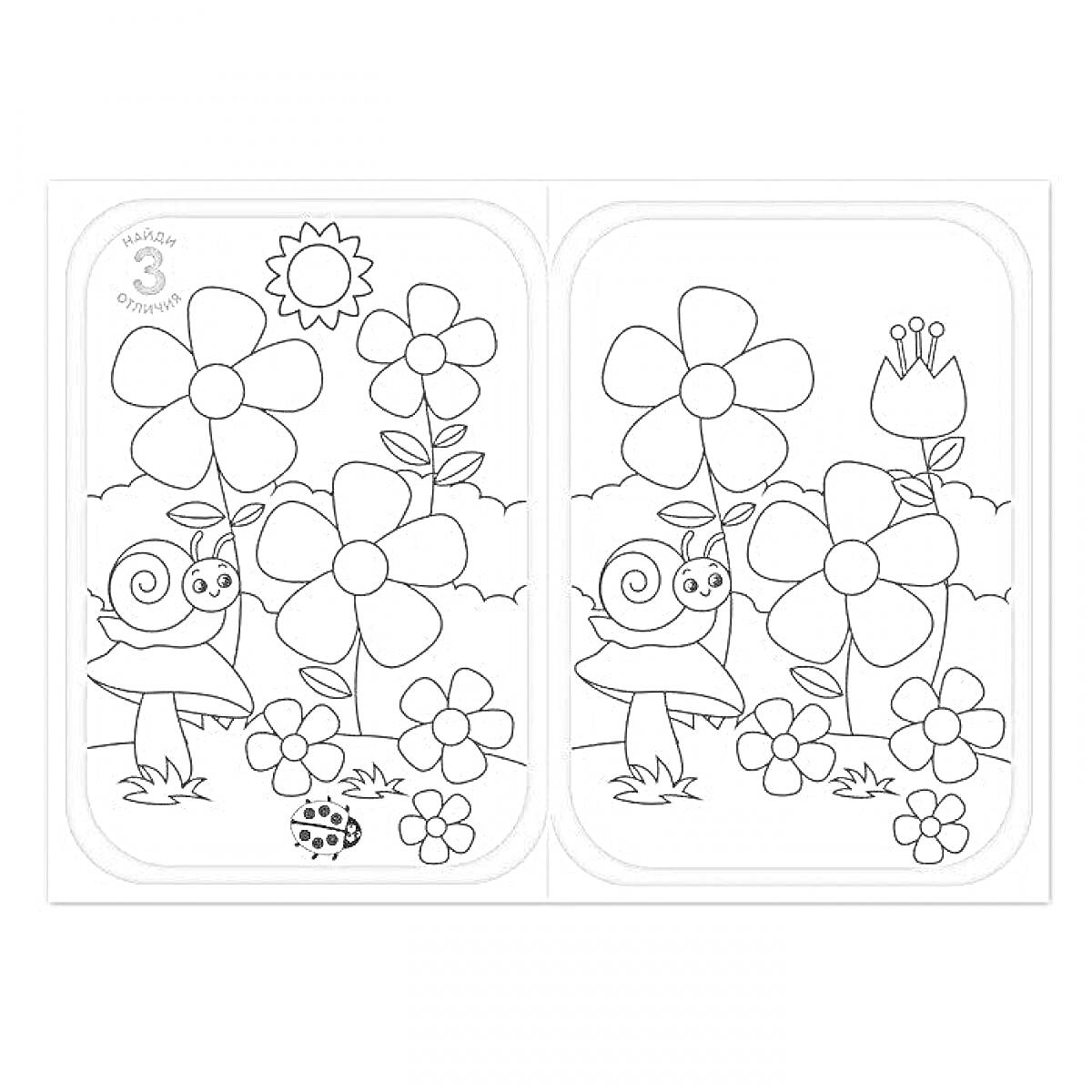 Раскраска Улитка среди цветов и солнце