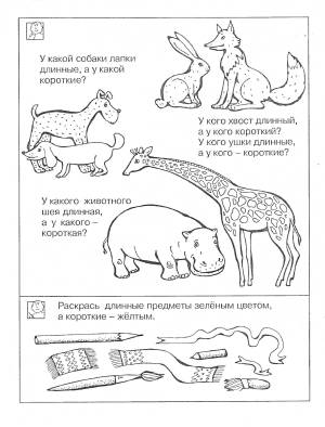 Большой Маленький Длинный Короткий Картинки