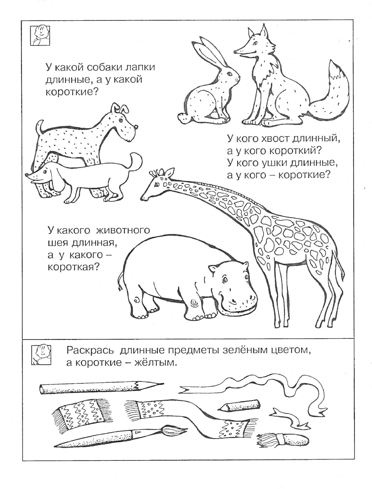 На раскраске изображено: Животные, Собака, Кролик, Лиса, Бегемот, Длинные лапы, Короткие лапы, Длинный хвост, Короткий хвост, Длинные уши, Длинная шея, Предметы, Веревка, Зубная щетка, Гребешок, Длинный, Короткий, Сравнение, Уши