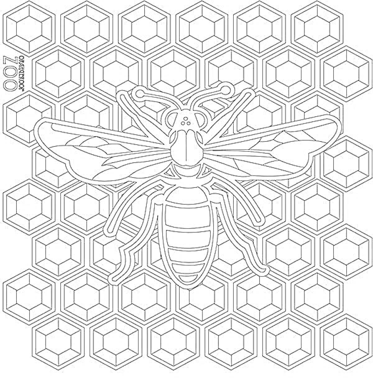 Раскраска Пчела на фоне сот