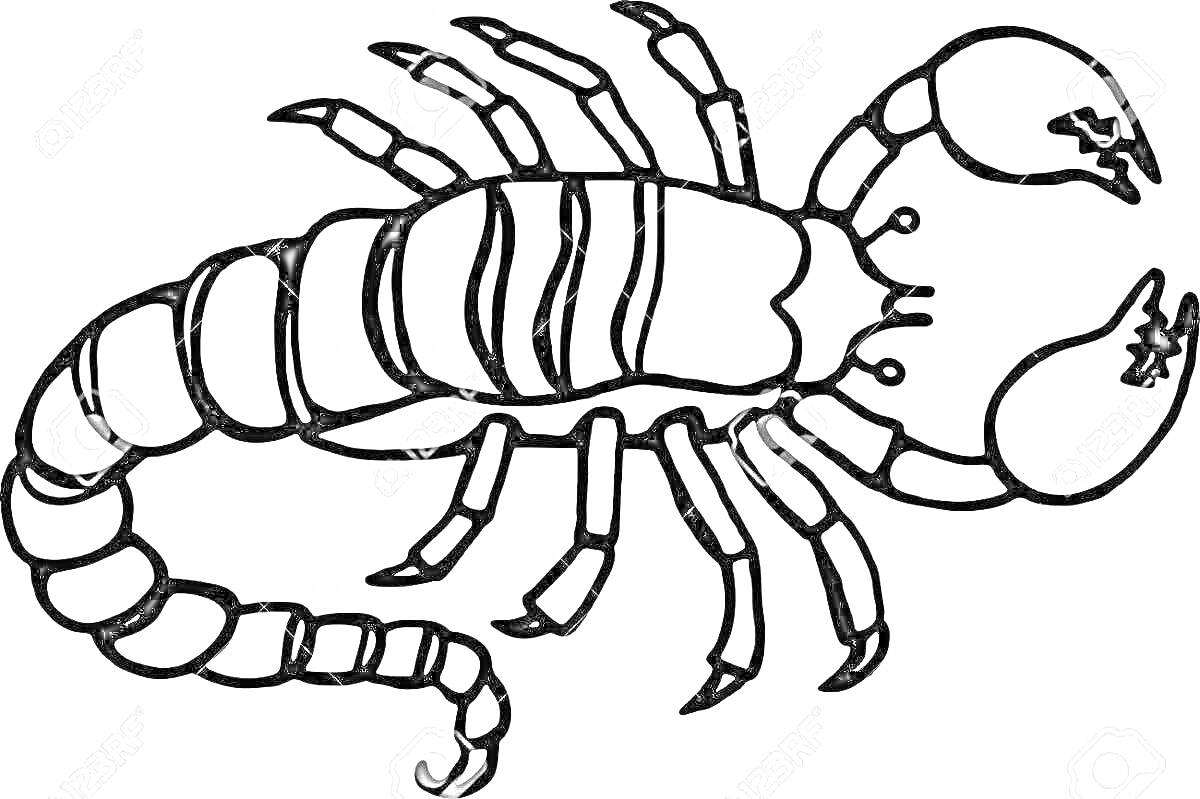 Раскраска Скорпион с клешнями и хвостом