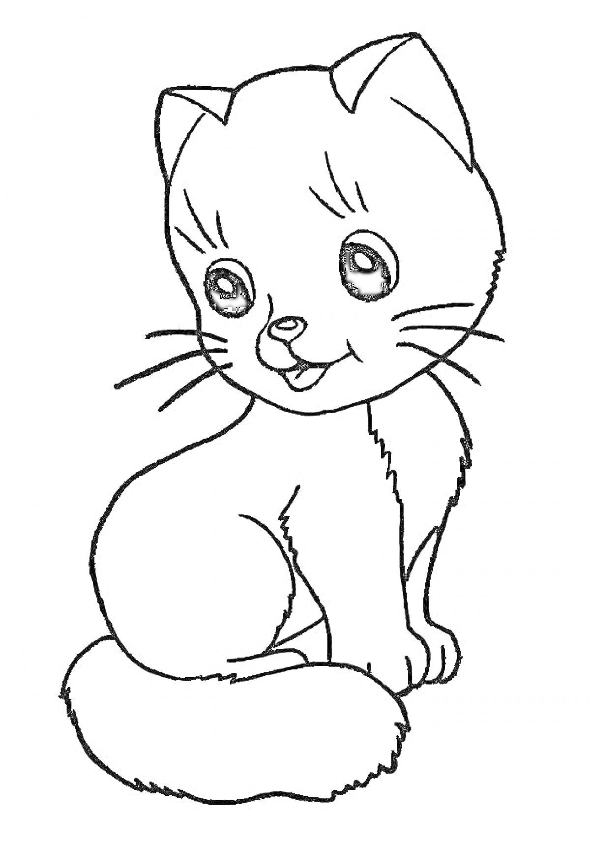 Раскраска Котик с большими глазами и пушистым хвостом, сидящий и смотрящий вперёд