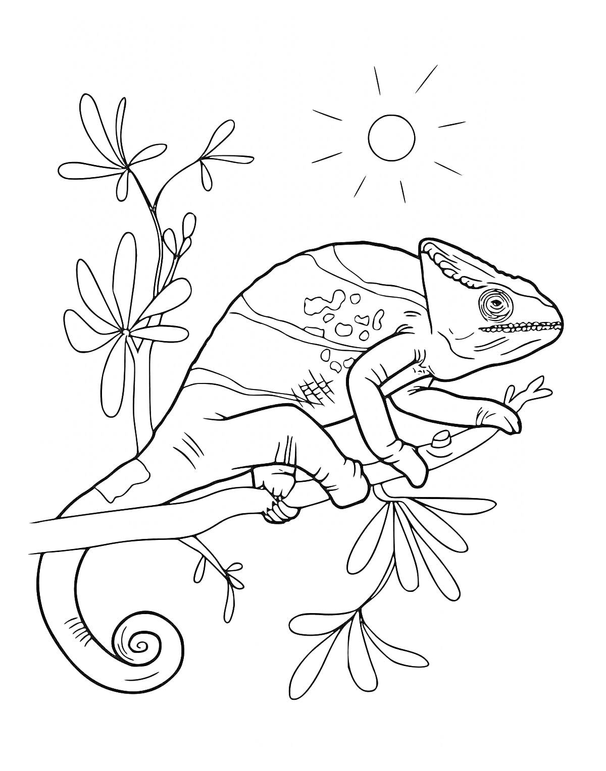 На раскраске изображено: Хамелеон, Ветка, Листья, Солнце, Природа