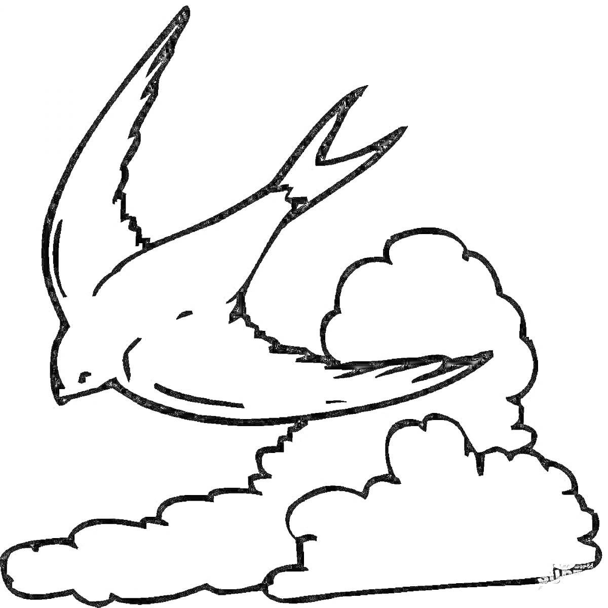 На раскраске изображено: Стриж, Птица, Полет, Облака, Природа, Небо, Контурные рисунки