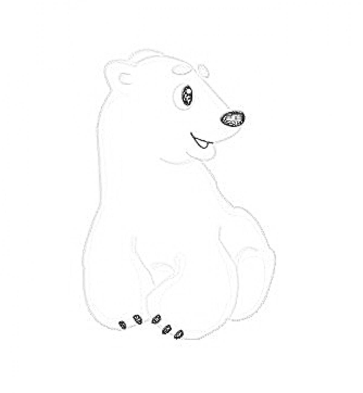 На раскраске изображено: Умка, Белый медведь