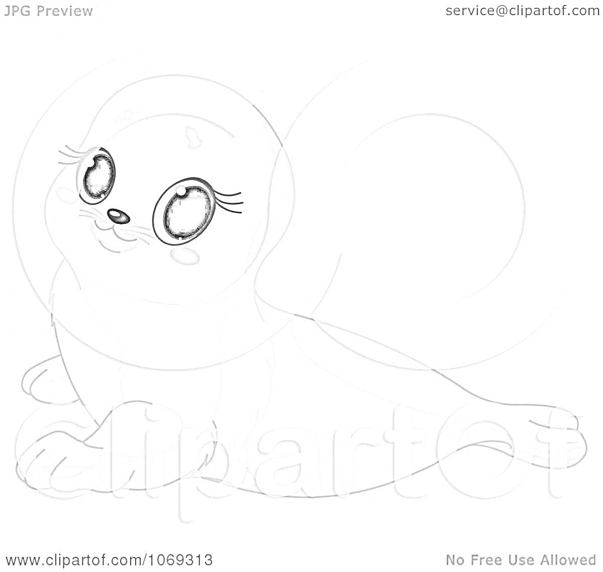 На раскраске изображено: Тюлень, Большие глаза, Контурные рисунки