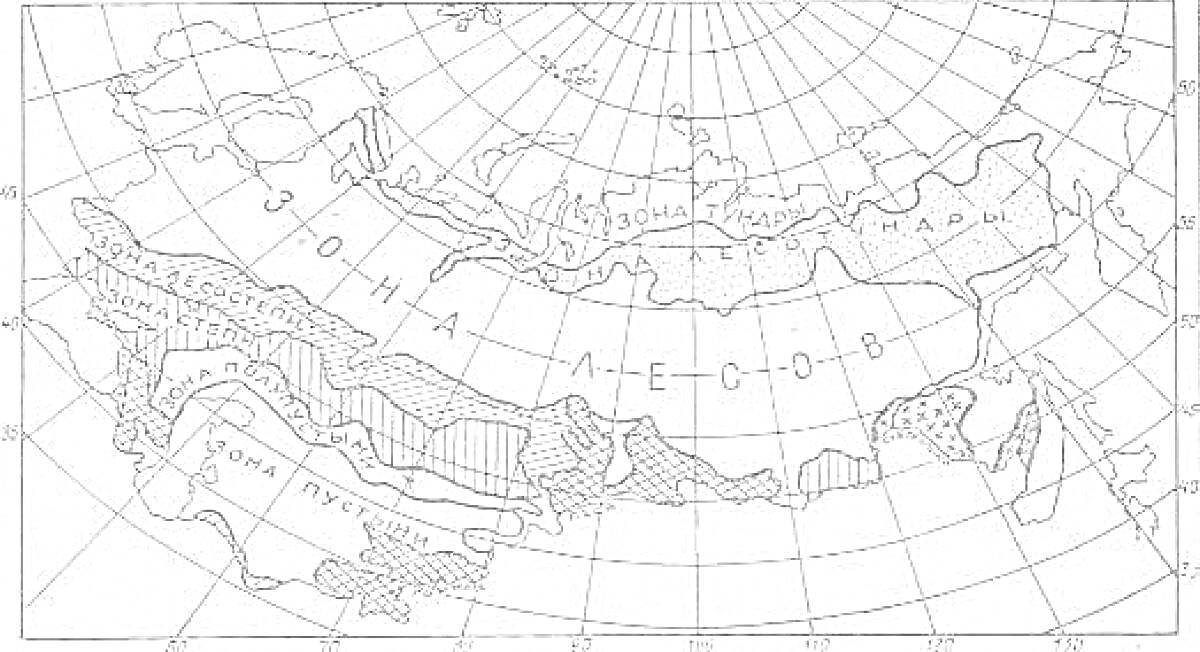 Карта природных зон России с зонами арктических пустынь, тундры, лесов, лесостепей, степей, полупустынь, пустынь.