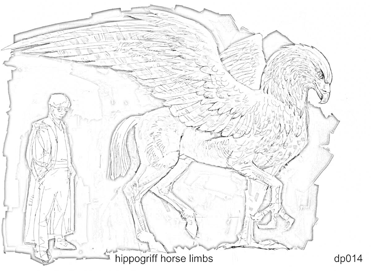 Раскраска Гиппогриф с телом лошади и крыльями птицы рядом с человеком в плаще