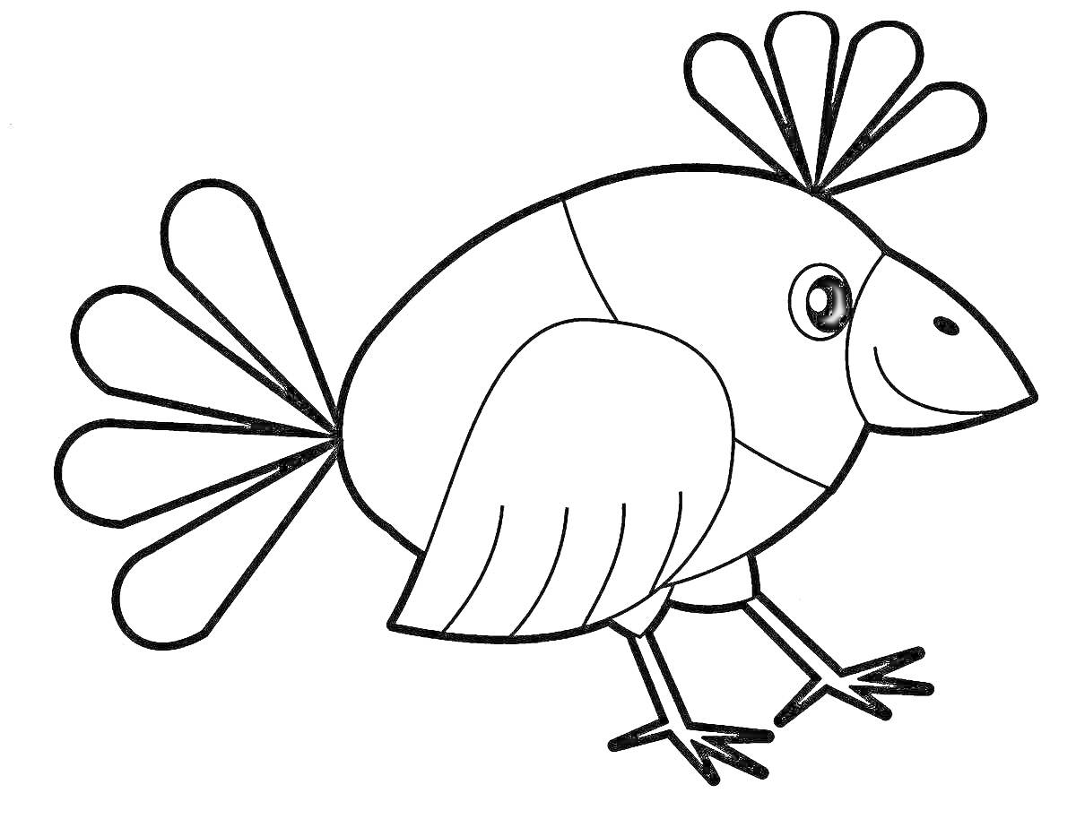 Раскраска Птица с перьями и клювом