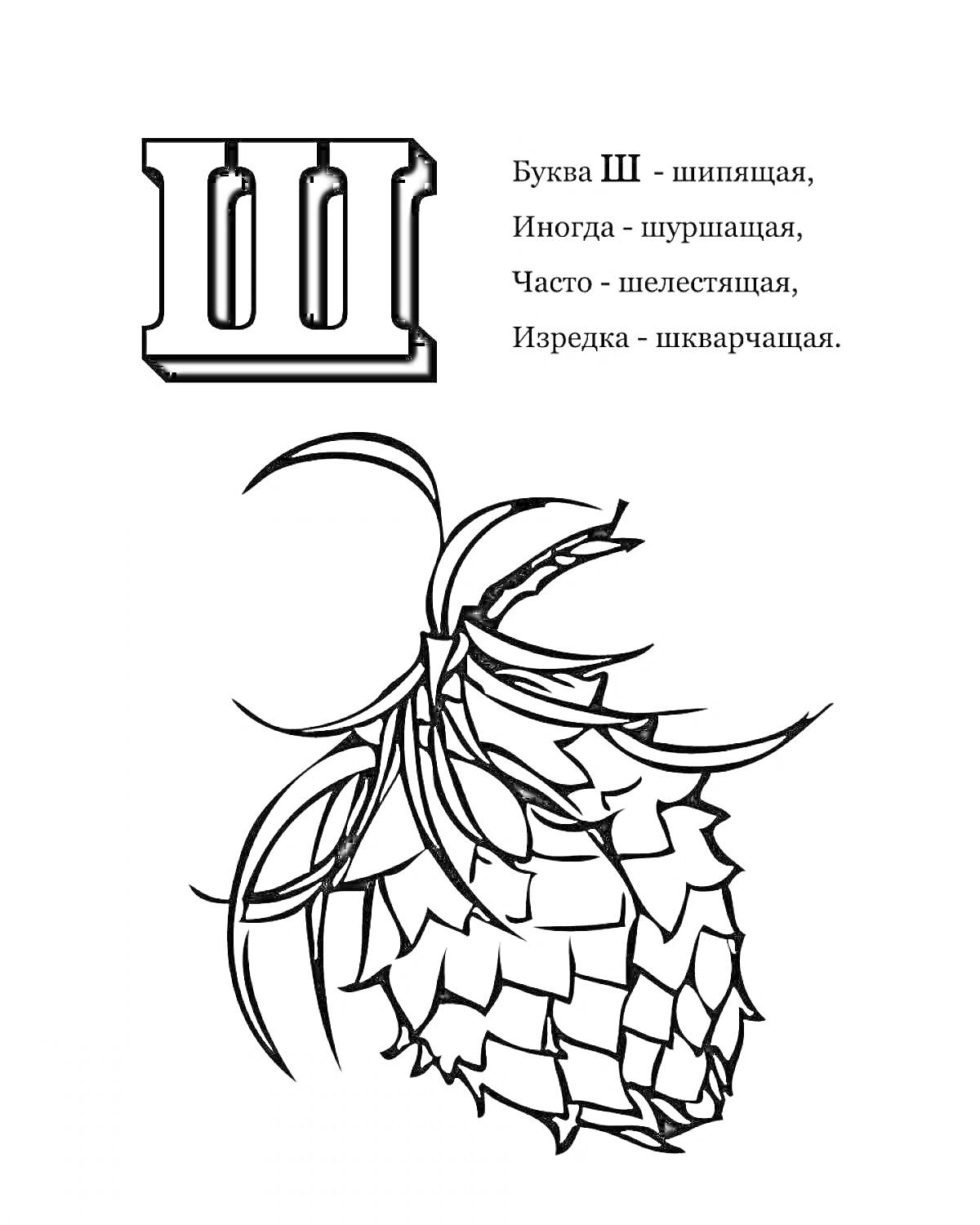 На раскраске изображено: Сосновая шишка, Буквы, 1 класс, Кириллица