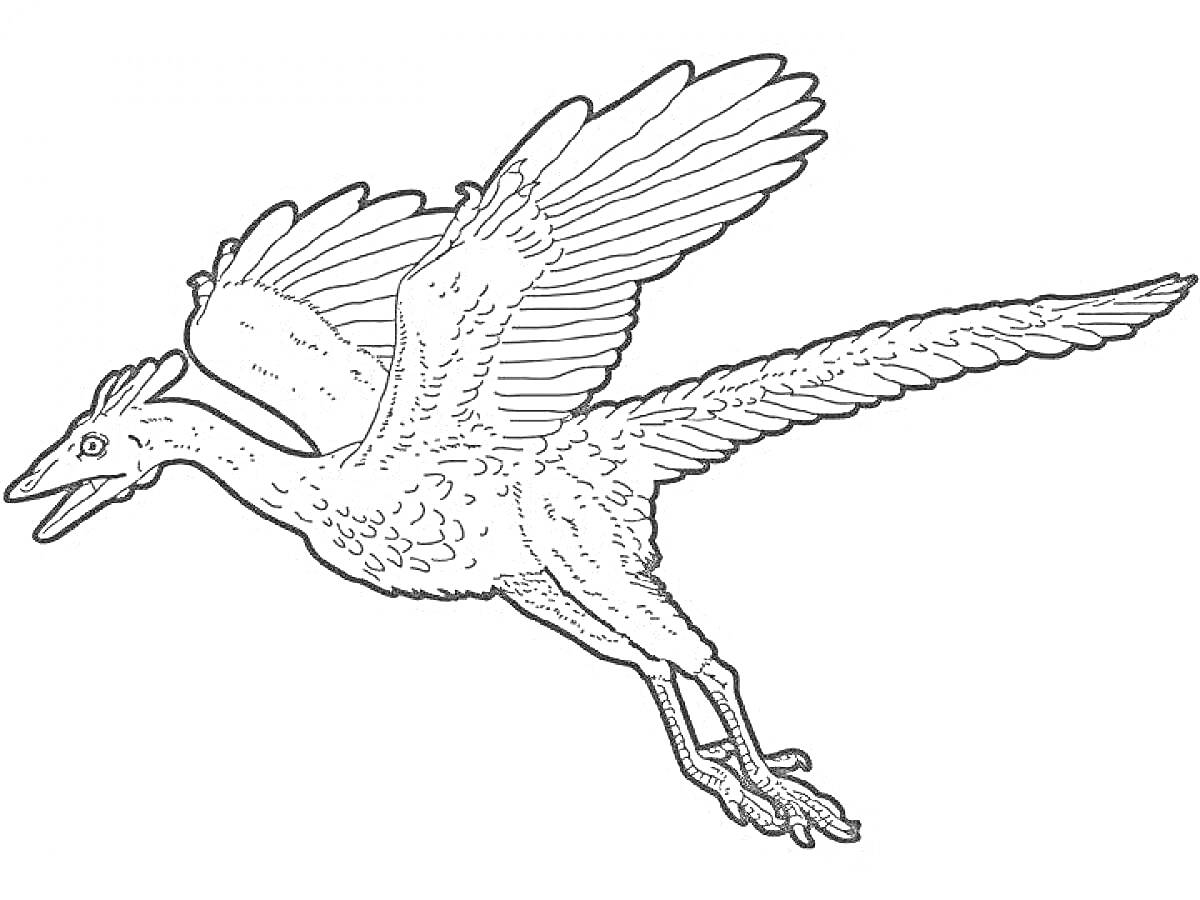 Археоптерикс с раскинутыми крыльями в полете