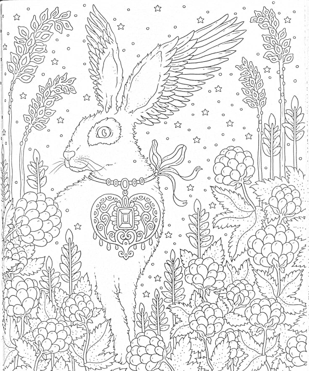 Раскраска Крылатый заяц с ожерельем в сердце, сидящий среди малины и колосьев, ночью под звездами