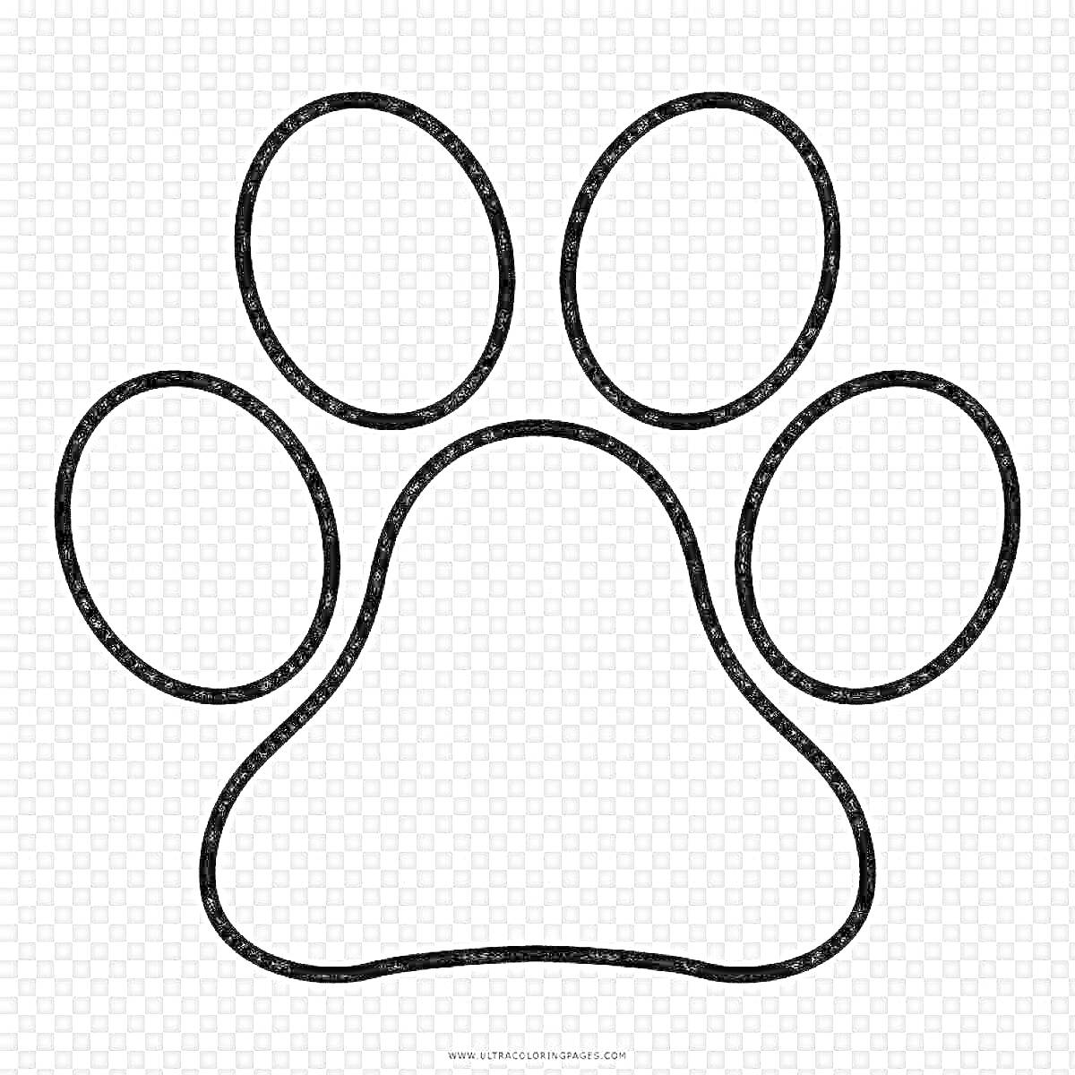 На раскраске изображено: Пальцы