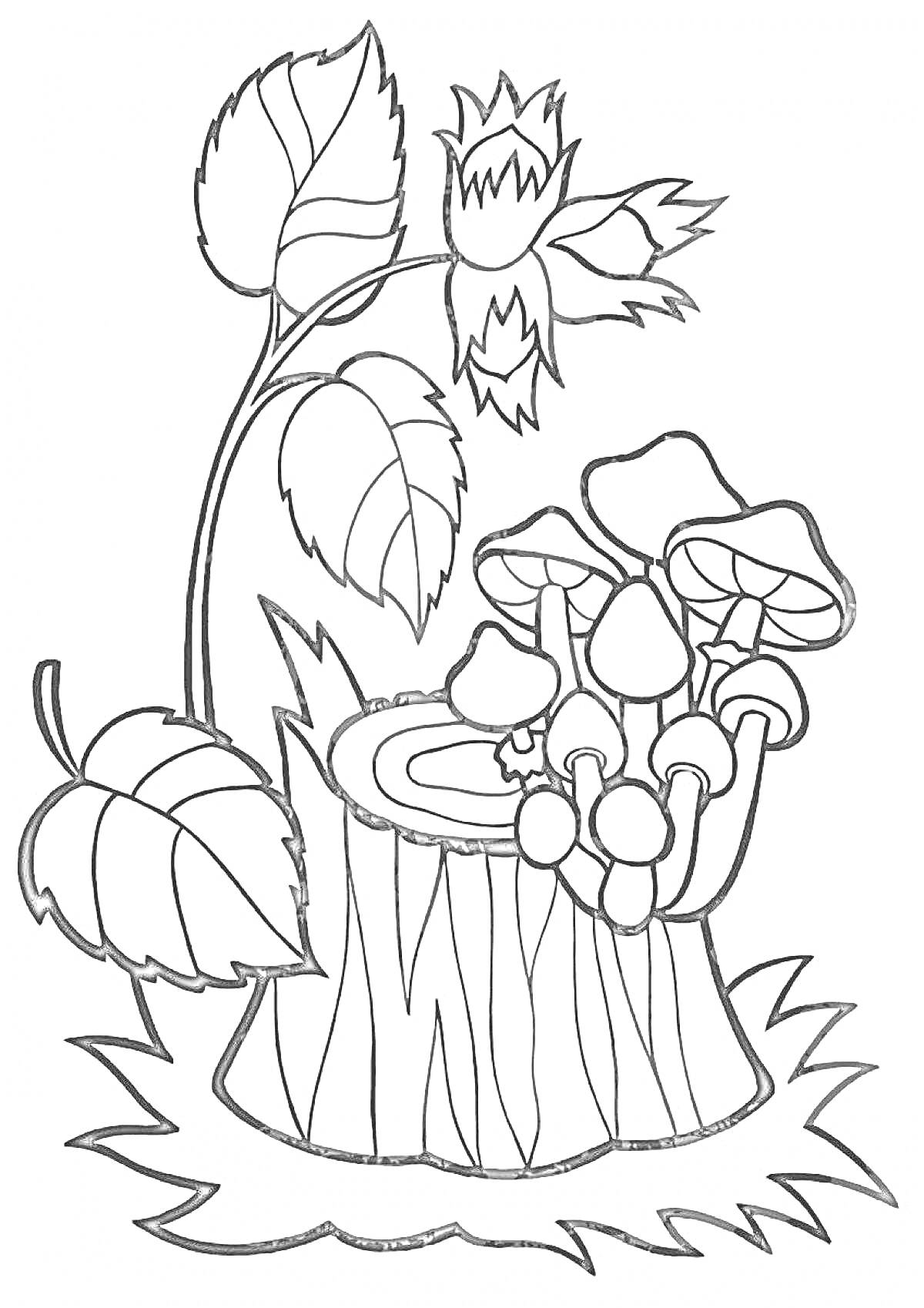 Раскраска Пень с грибами и растением с листьями и плодом