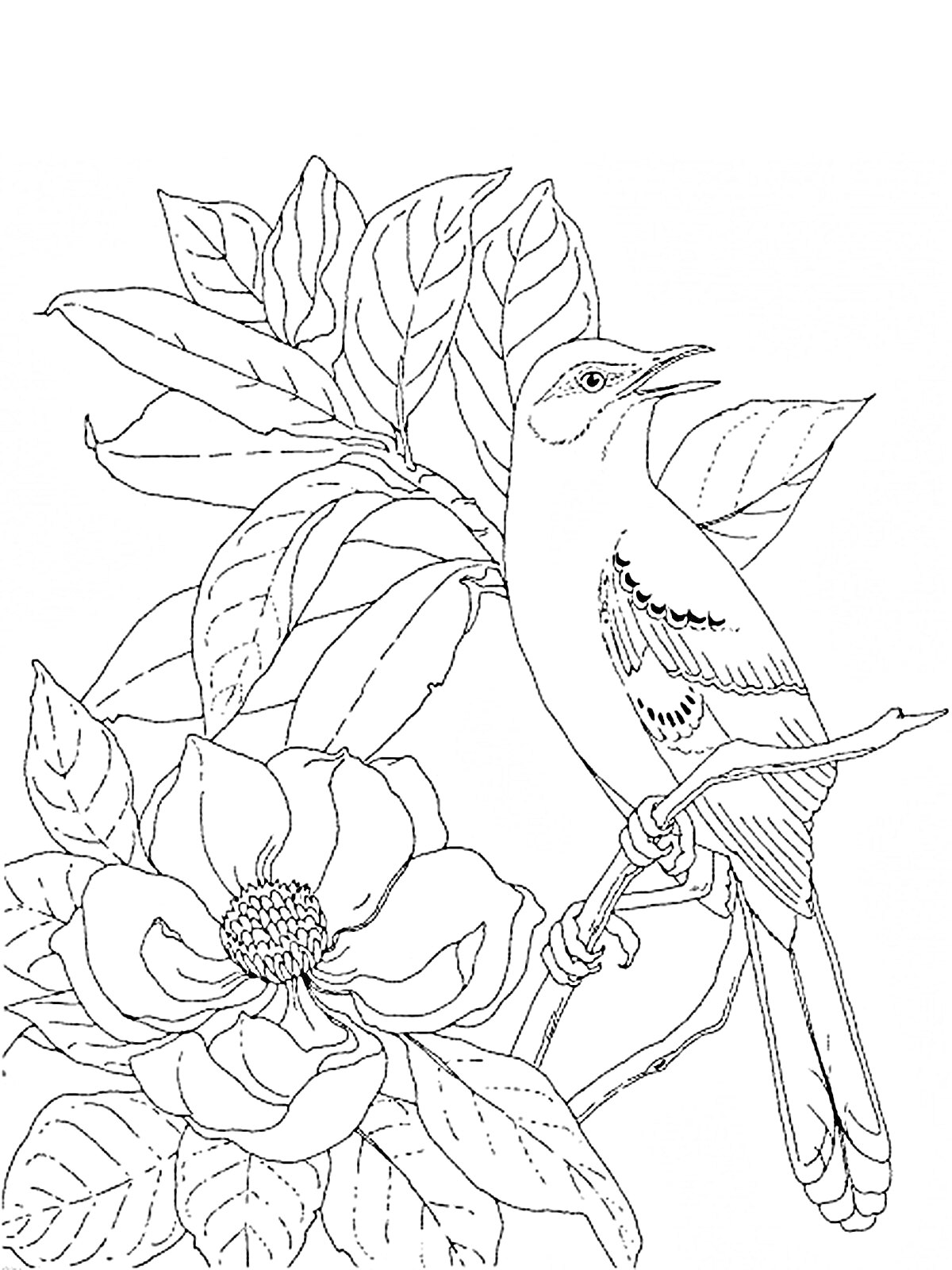 Раскраска Птица на ветке с крупными цветами и листьями