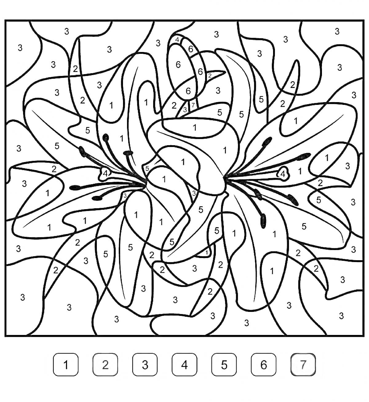 Раскраска Лилии с заливкой по номерам