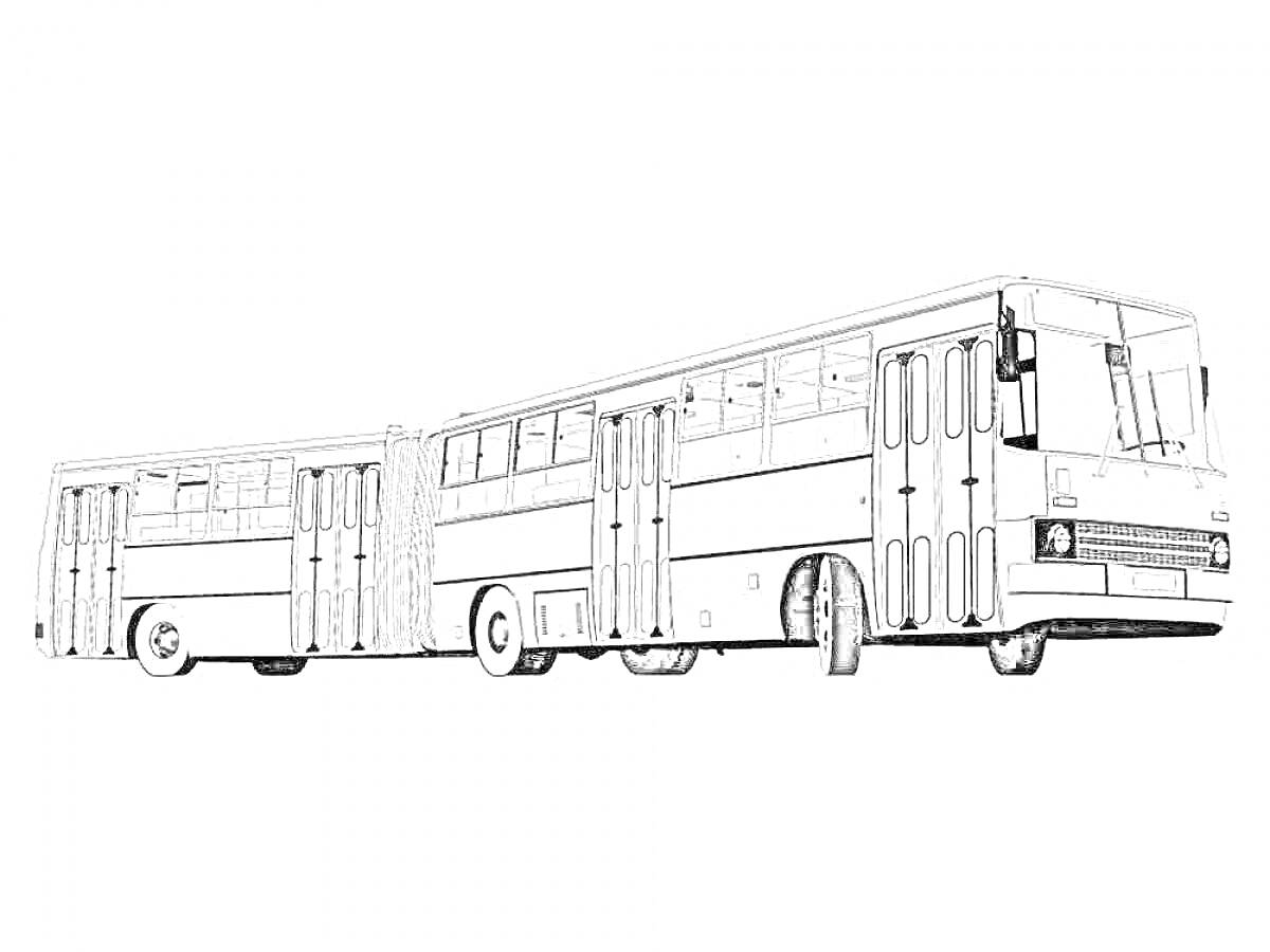 Раскраска Длинный сочлененный автобус с деталями кузова, дверями и окнами