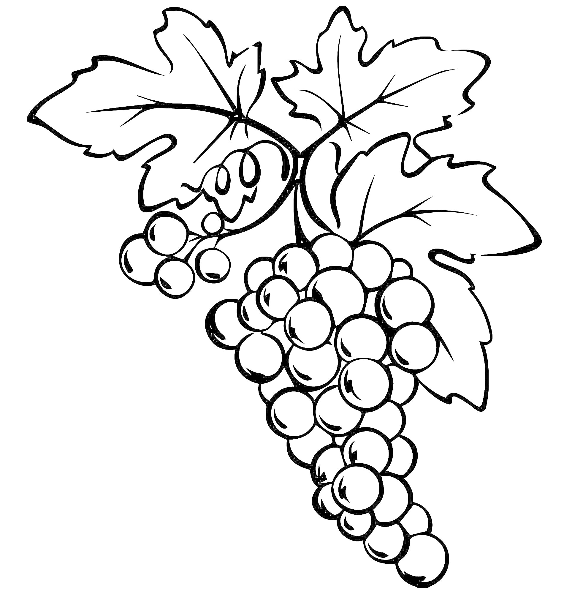 На раскраске изображено: Виноград, Ветка, Листья, Гроздья, Ягоды, Природа