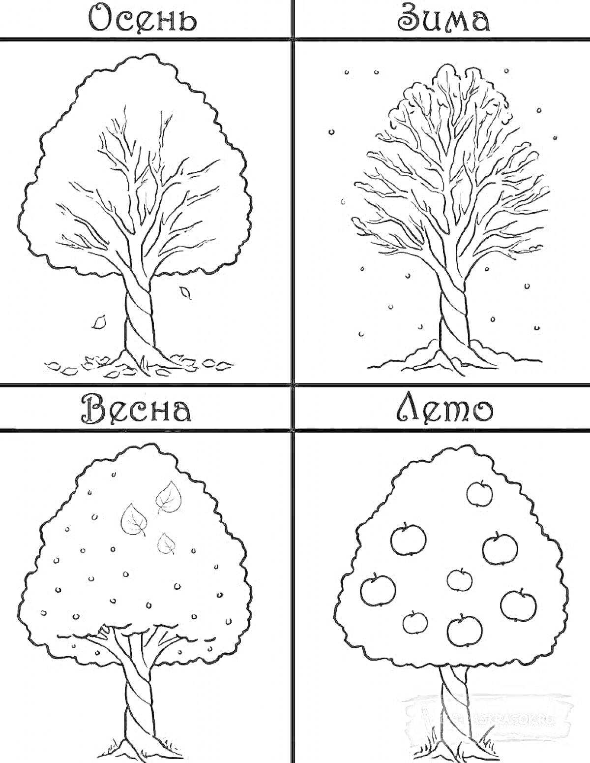 На раскраске изображено: Времена года, Деревья, Осень, Зима, Весна, Лето, Листья, Снег