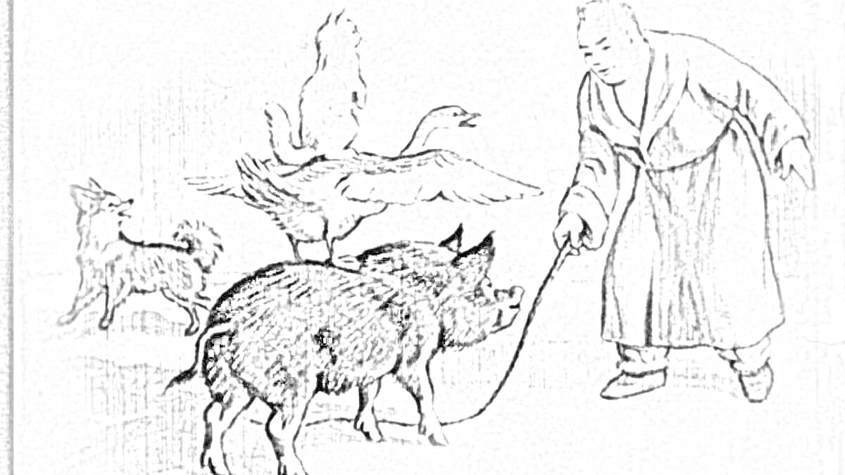 На раскраске изображено: Человек, Поводок, Кабан, Собака, Гусь, Петух