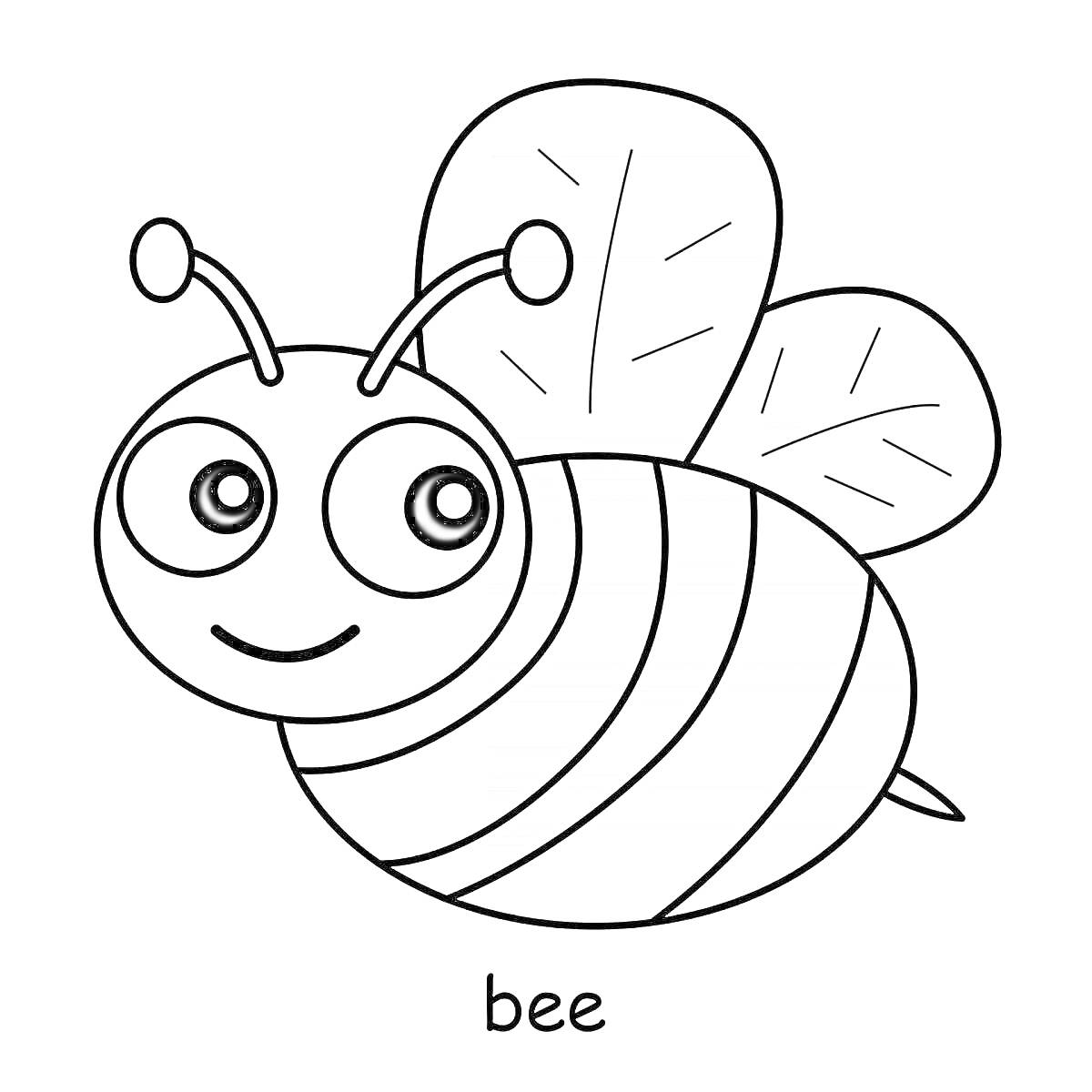 Раскраска Радостная пчела с усиками и крылышками