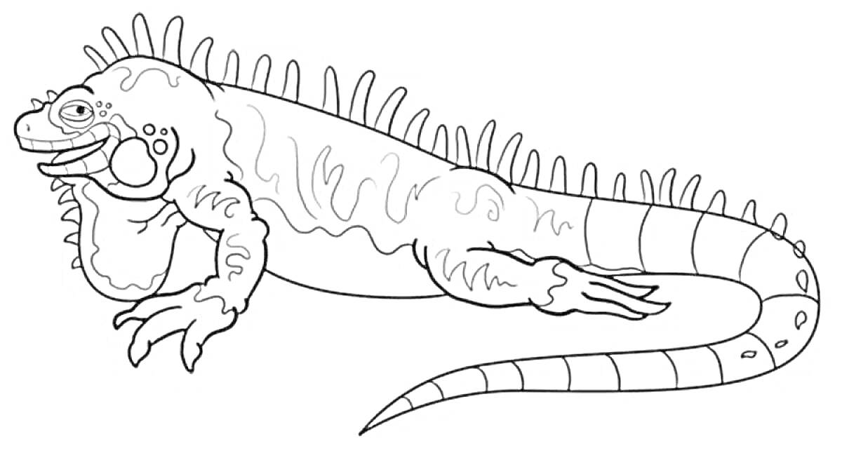 Игуана с чешуйчатым телом и длинным хвостом