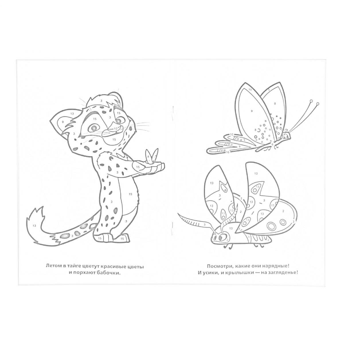 Раскраска Лео и Тиг с несколькими бабочками