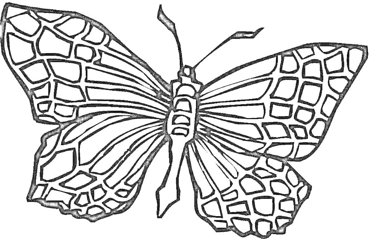 Раскраска Бабочка с мозаичными узорами на крыльях
