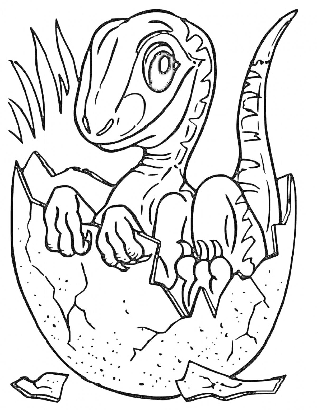 На раскраске изображено: Детеныш динозавра, Вылупление, Трава, Юрский период, Динозавр