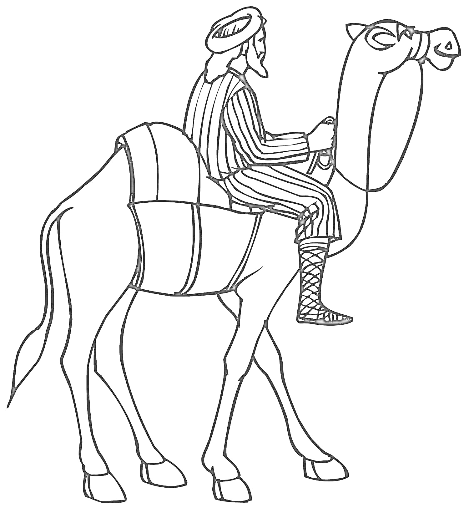 На раскраске изображено: Верблюд, Человек, Седло, Уздечка, Верховая езда, Животные
