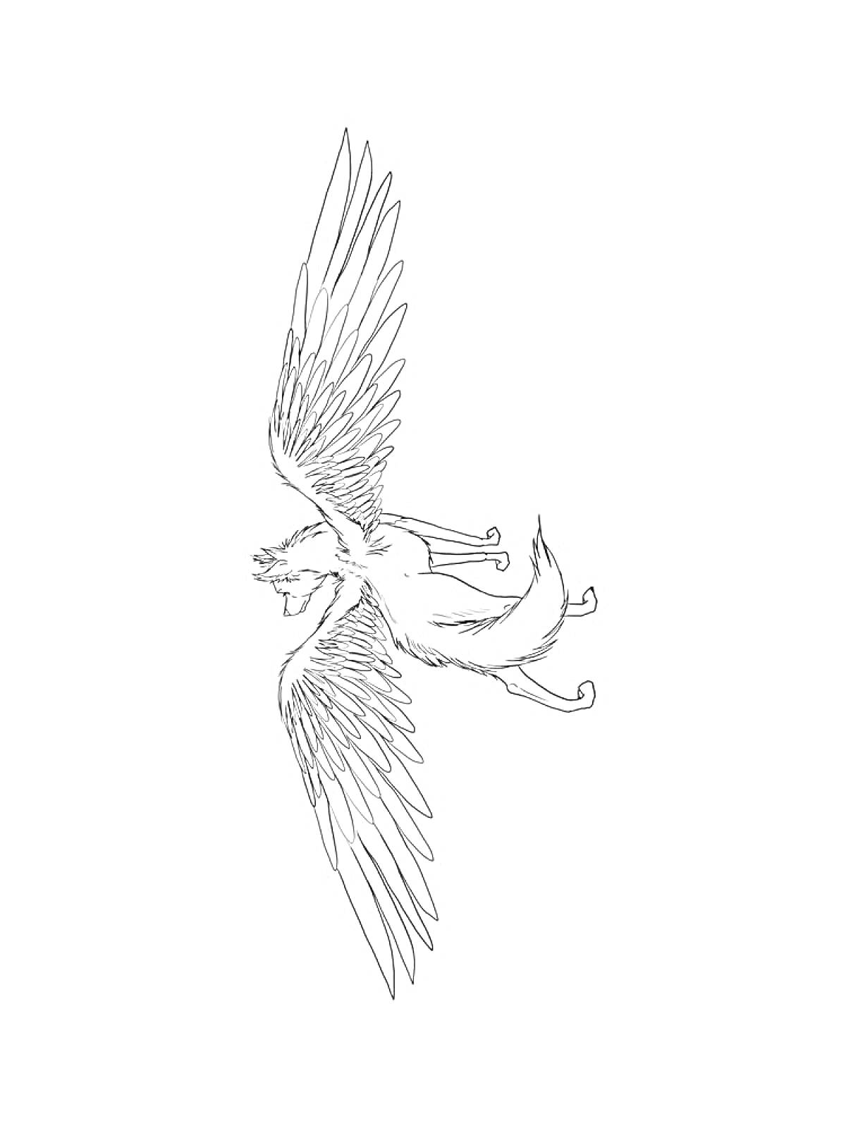 На раскраске изображено: Волк, Аниме, Крылья, Летающая, Мифические существа