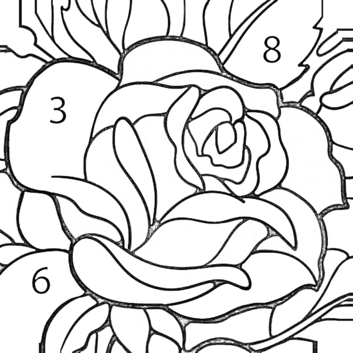 Раскраска Роза - цветок раскраска по номеру цвета, красные и белые лепестки, зеленые листья.