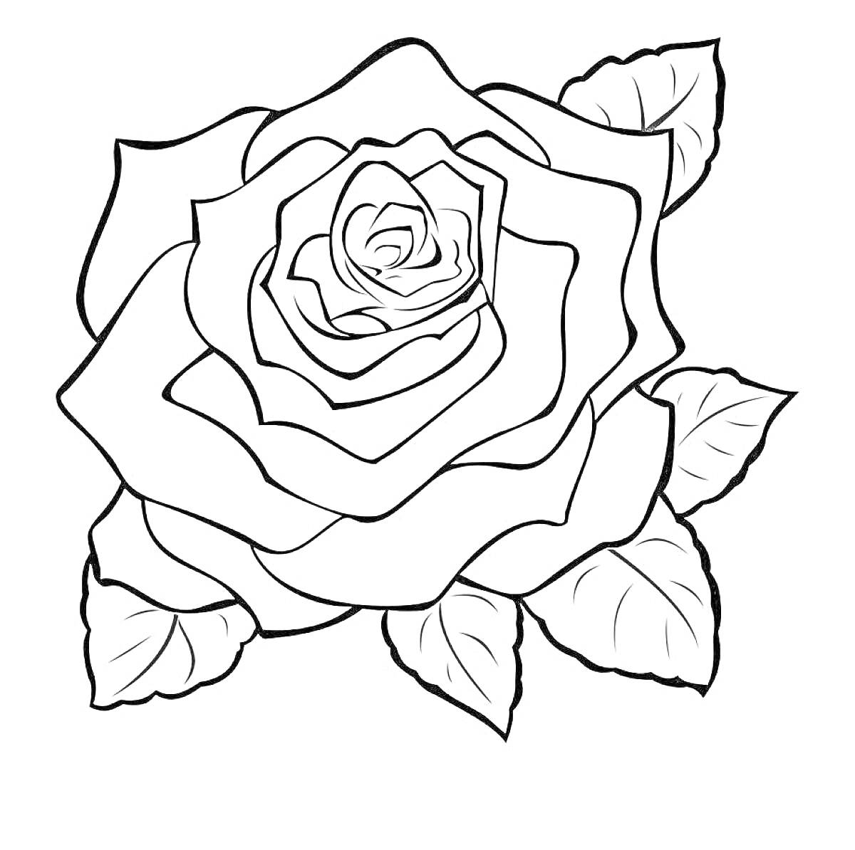 На раскраске изображено: Лепестки, Листья