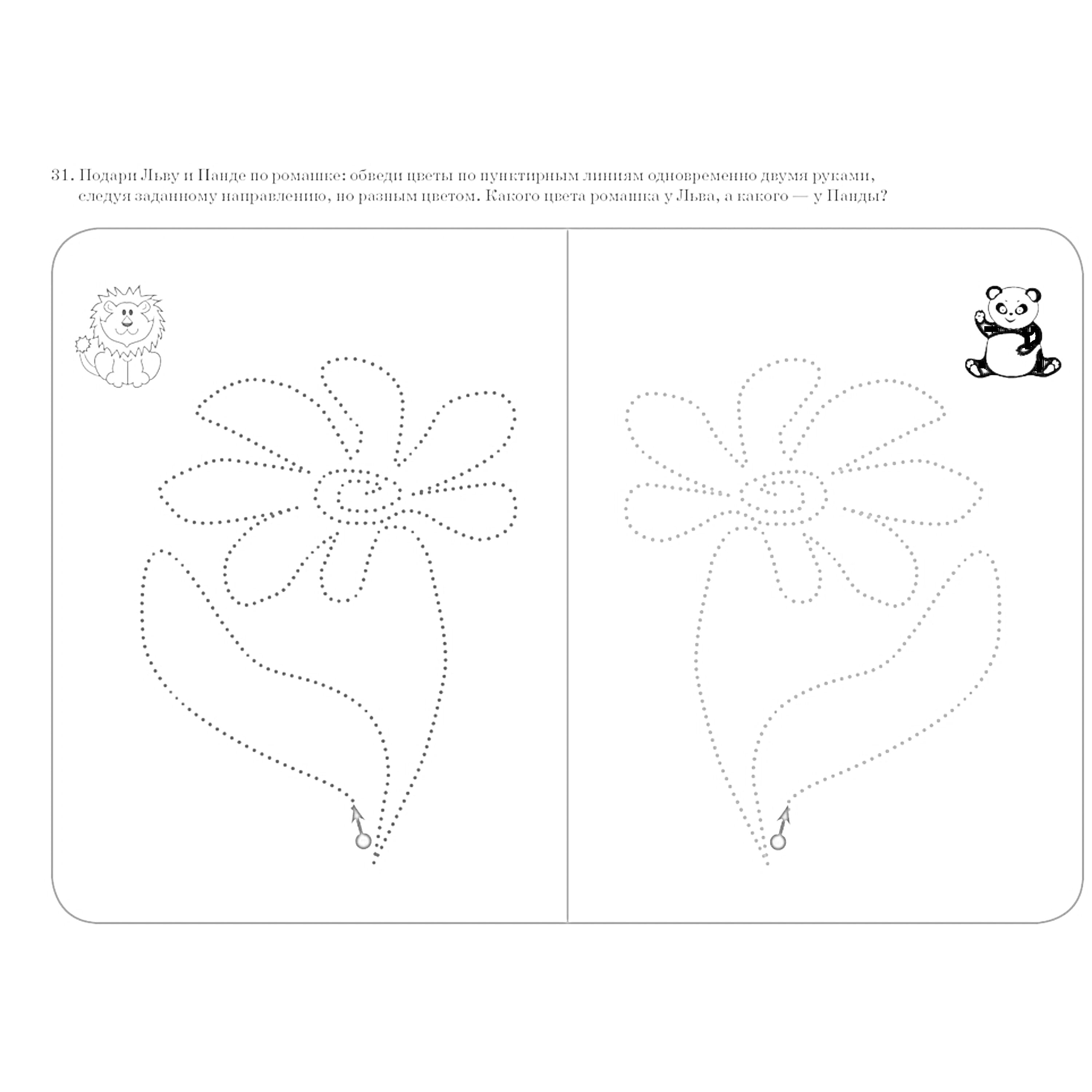 Раскраска лев, панда, цветок из двух сторон для одновременного обведения двумя руками