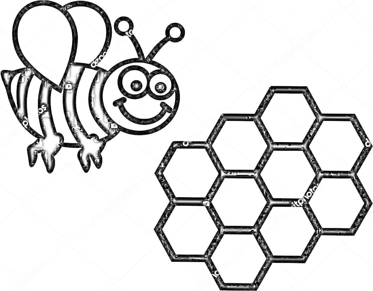 Раскраска Пчела и соты