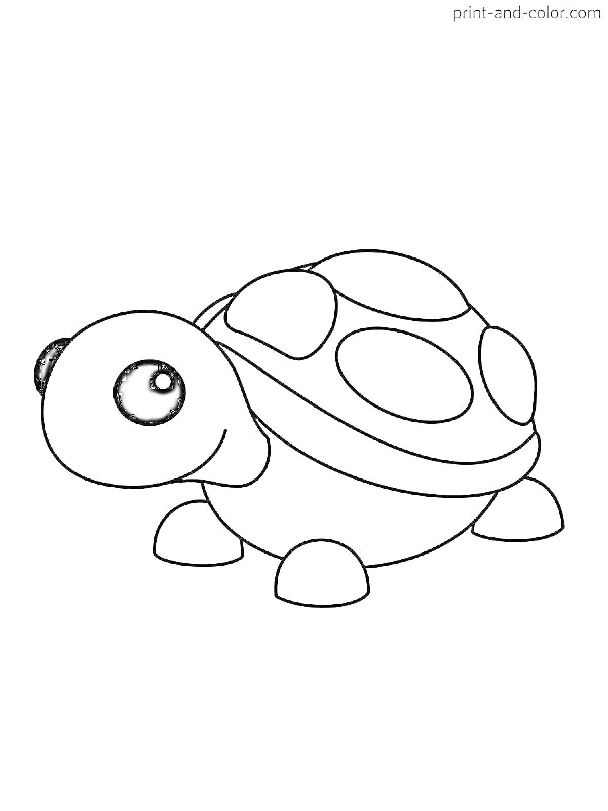 На раскраске изображено: Черепаха, Панцирь, Большой глаз, Адопт ми, Питомец
