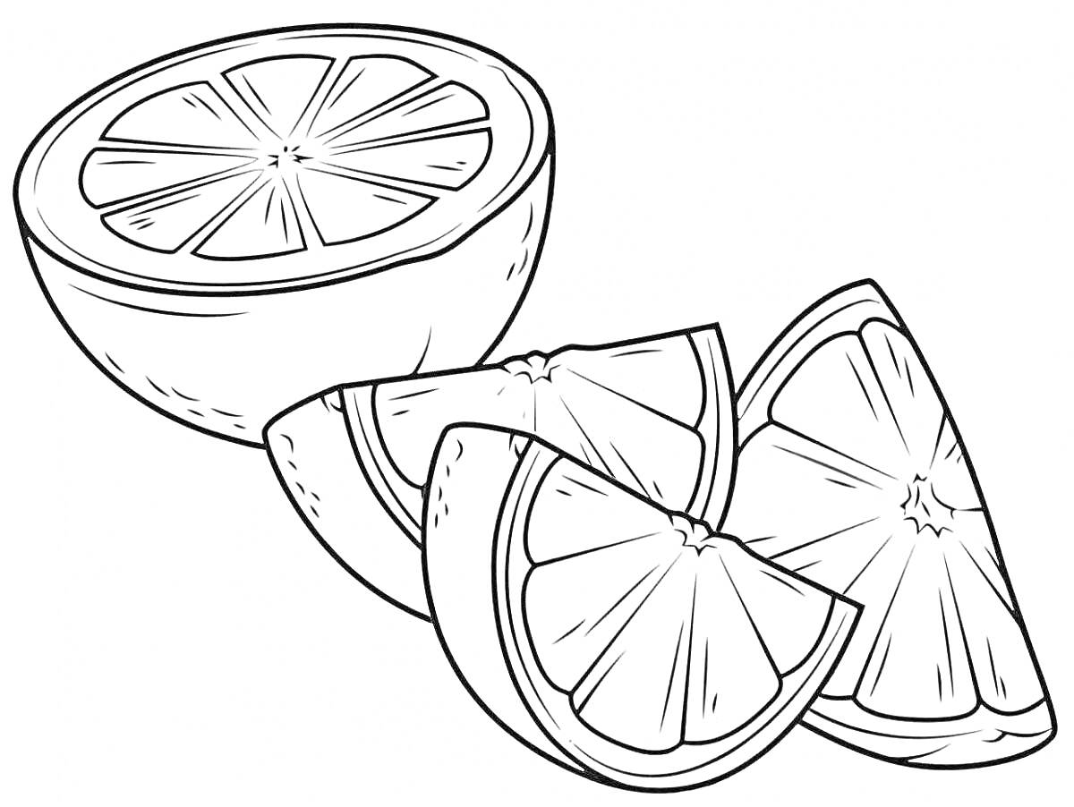 Раскраска Половинка и дольки апельсина
