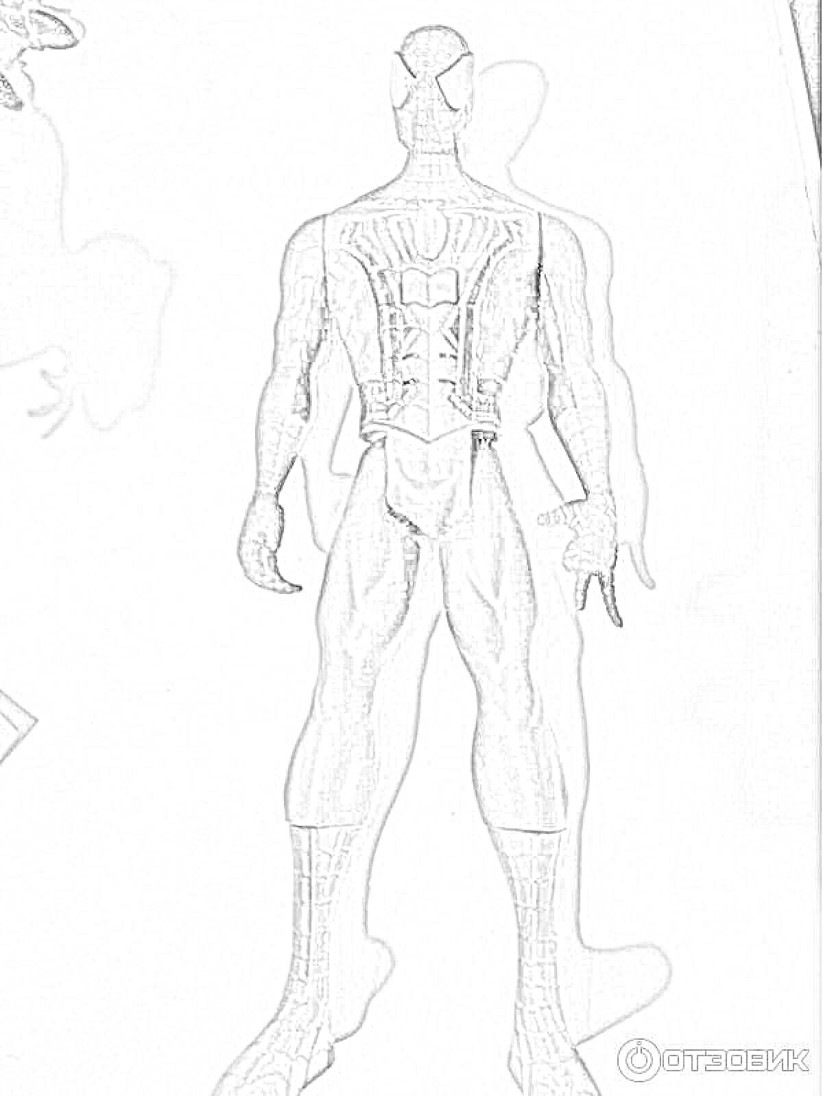 Раскраска Человек в маске, с мускулистым телом в костюме, стоящий спиной