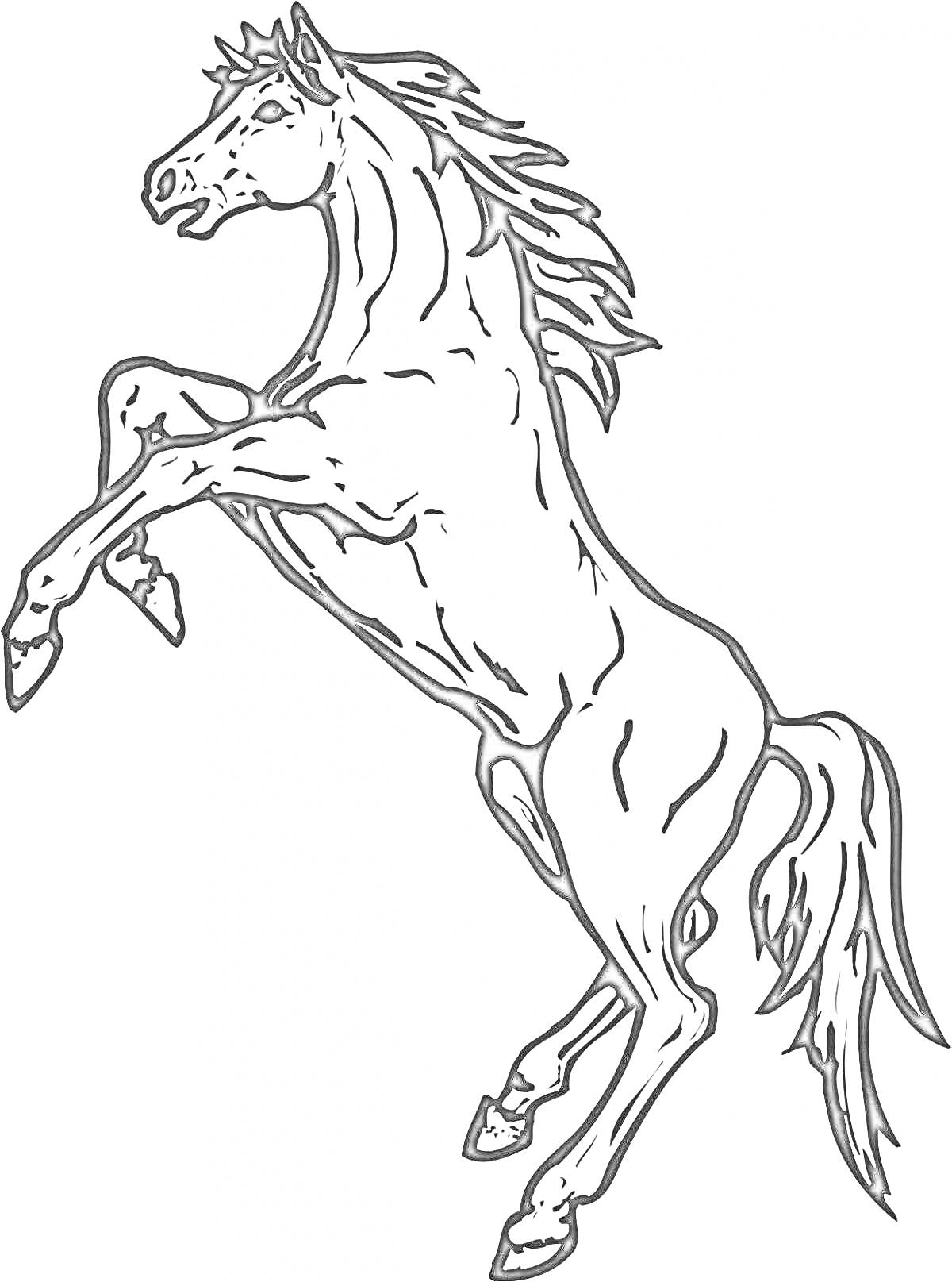 Раскраска Лошадь на дыбах с развевающейся гривой