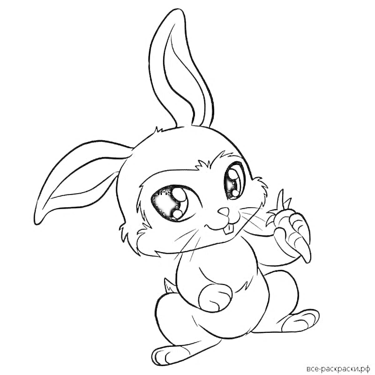 Раскраска Кролик с большим ушами и морковкой в лапке