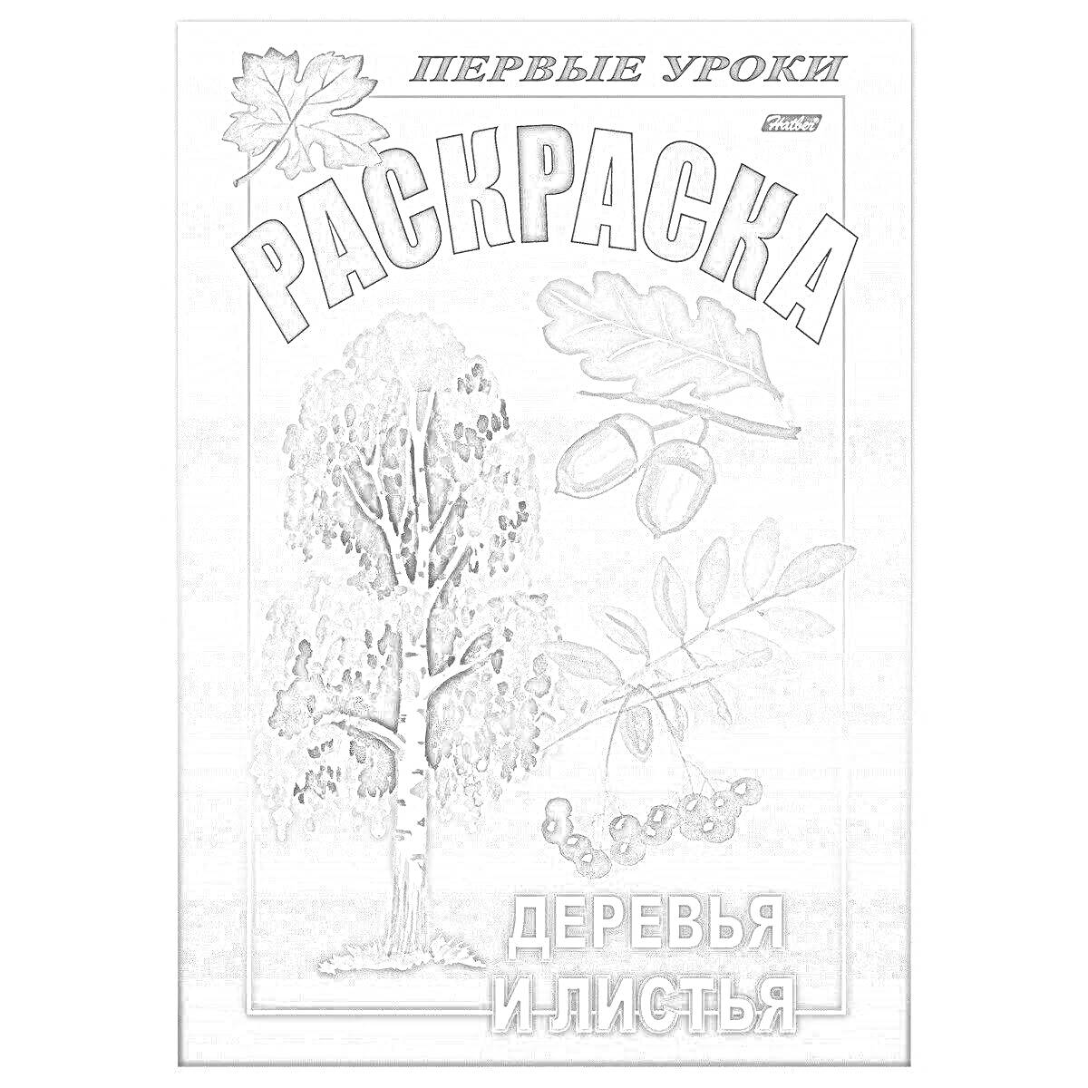 Раскраска первые уроки, раскраска, деревья и листья, лист клена, лист дуба, желудь, дерево, лист папоротника