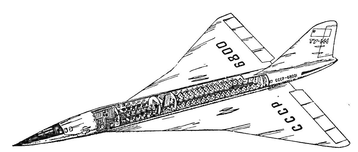 На раскраске изображено: Ту-144, Пассажирский самолет, СССР, Авиация