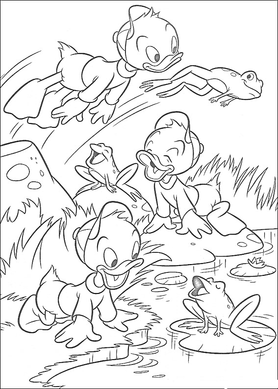 Раскраска Утиные истории, три утёнка у пруда, прыгающая лягушка, камыши
