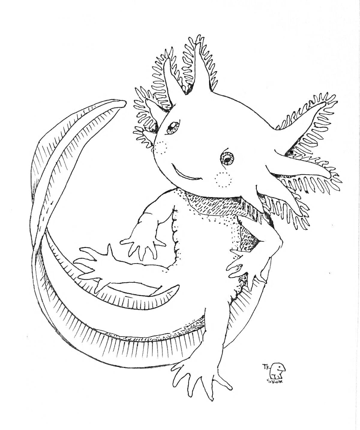 На раскраске изображено: Аксолотль, Водное существо, Хвост, Жабры