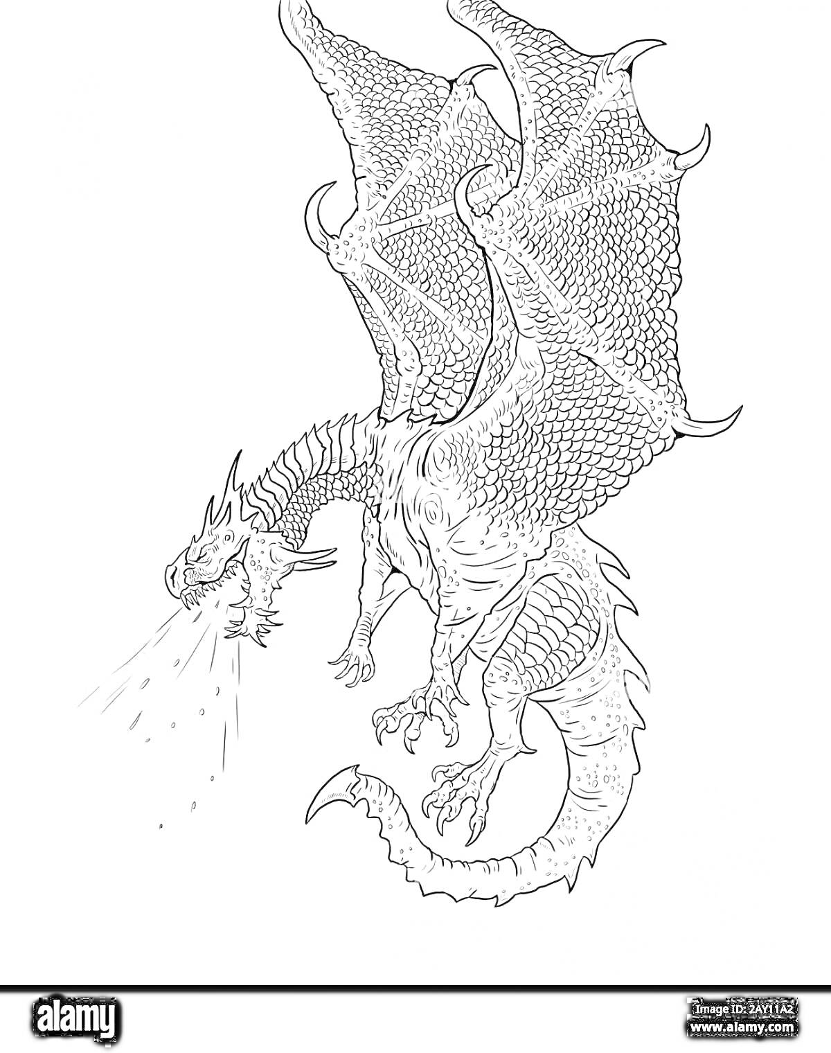 Раскраска Огнедышащий дракон с крыльями и чешуей