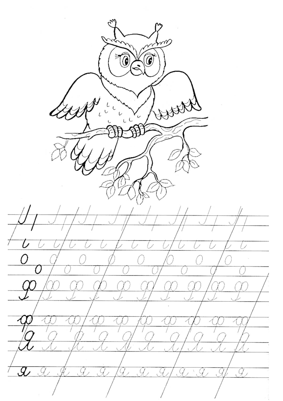 Раскраска Сова на ветке с прописями для 1 класса (буквы 