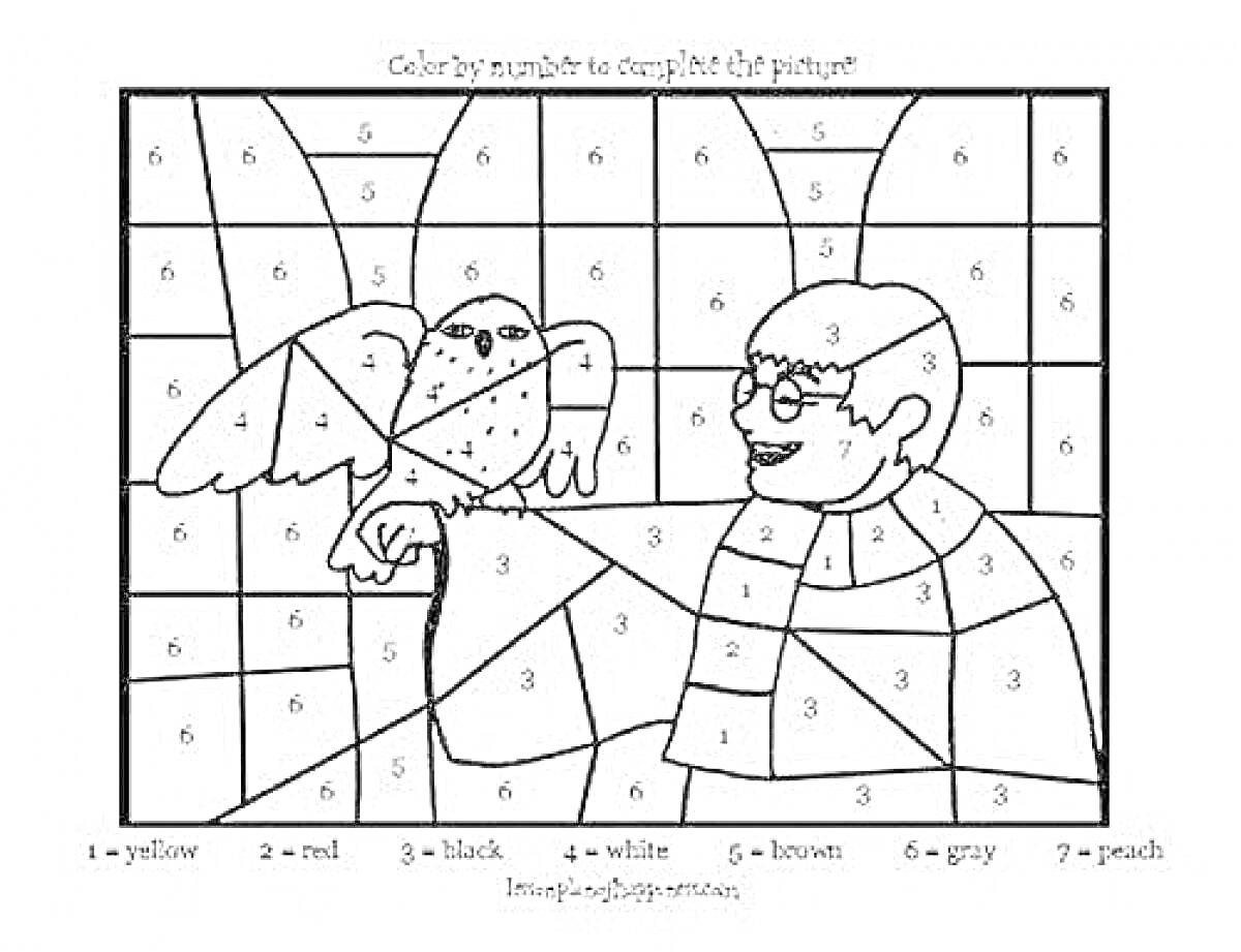 Раскраска Гарри Поттер с совой