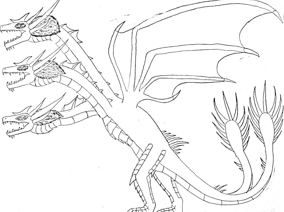 На раскраске изображено: Три головы, Крылья, Дракон, Чешуя, Мифические существа